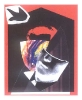 Marek Chaczyk